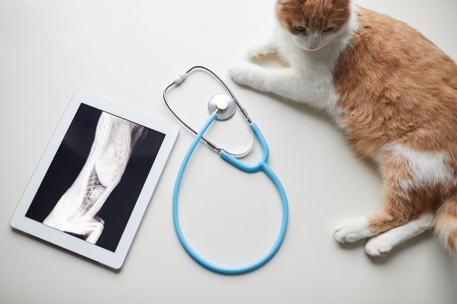 Ultrasound