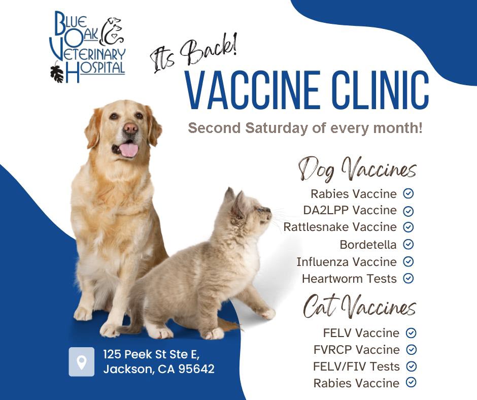 vaccine clinic