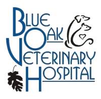 BOVH logo